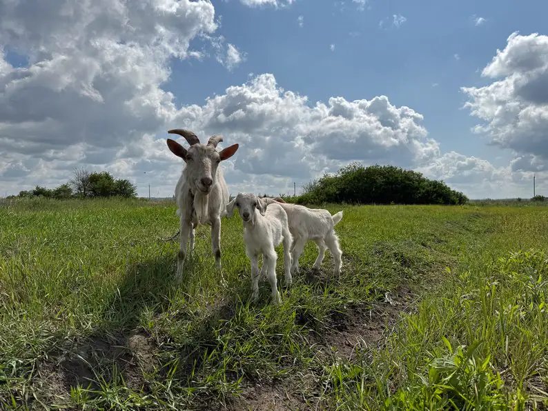 dbc4017d32e022b9 dbc4017d32e022b9