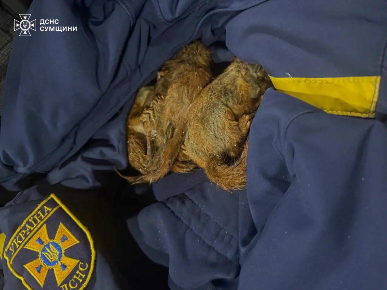 photo 2025 04 25 14 48 09 2 photo 2025 04 25 14 48 09 2