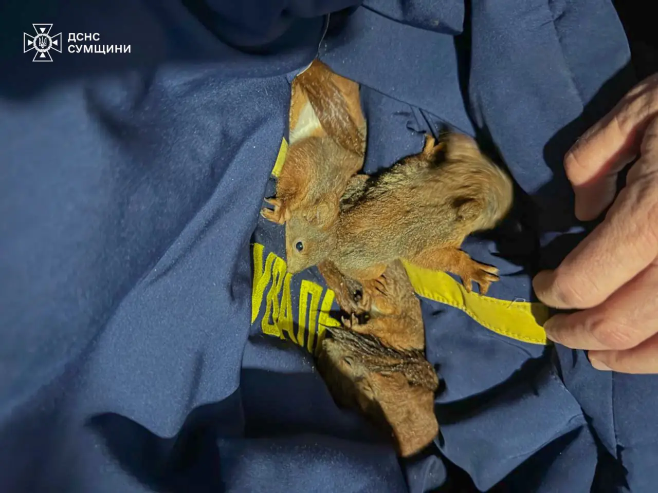 photo 2025 04 25 14 48 09 photo 2025 04 25 14 48 09