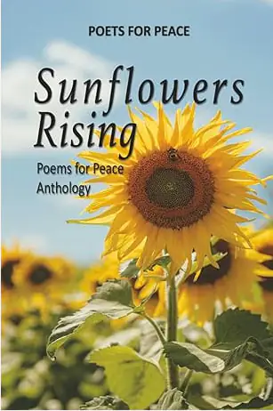 photo 2025 06 02 17 08 37