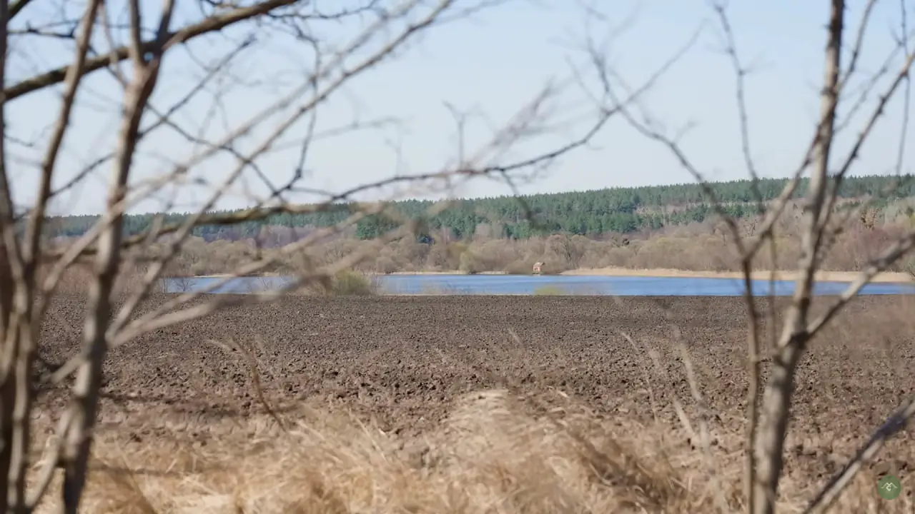 photo 2025 06 10 16 55 10 photo 2025 06 10 16 55 10