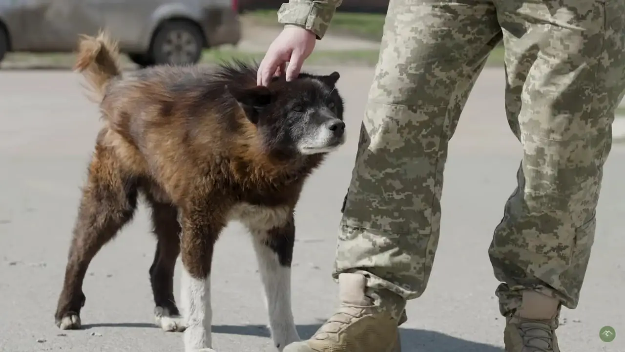 photo 2025 06 10 16 55 47 photo 2025 06 10 16 55 47