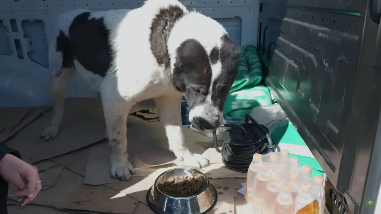 photo 2025 06 10 16 58 14 photo 2025 06 10 16 58 14