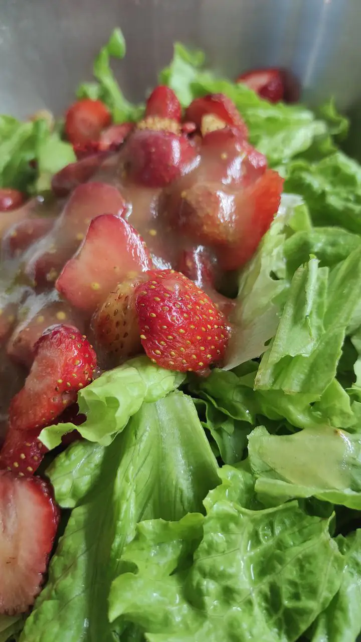 photo 5361937013592421760 y 1