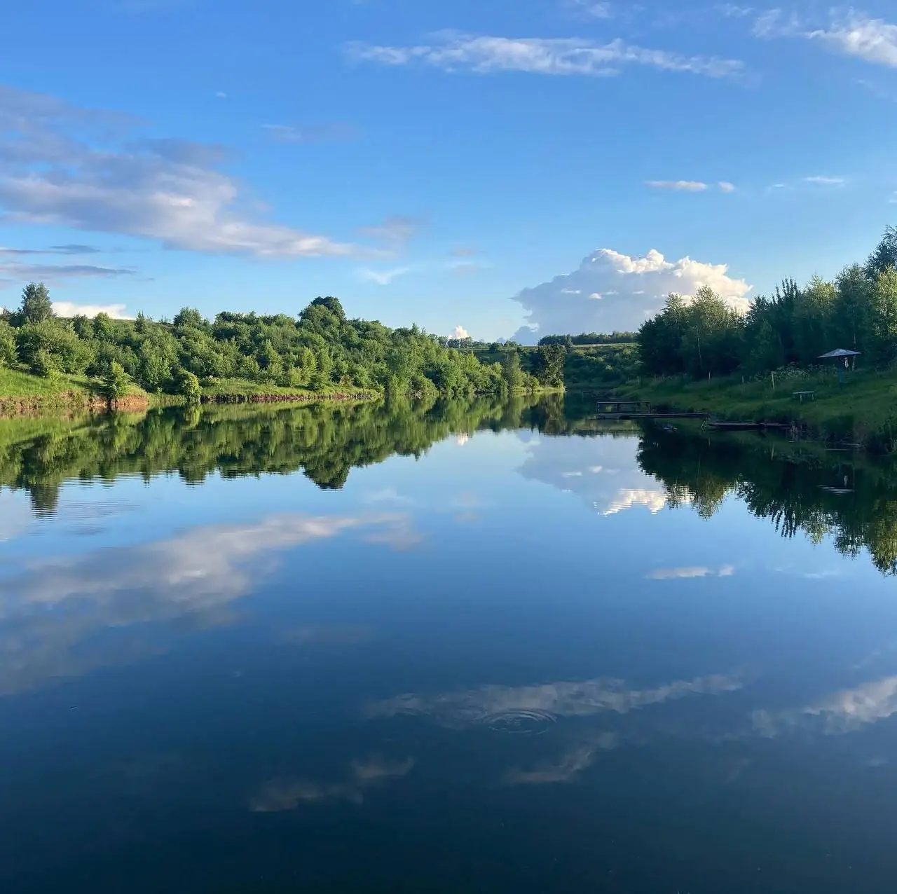 photo 5402229656574358531 y