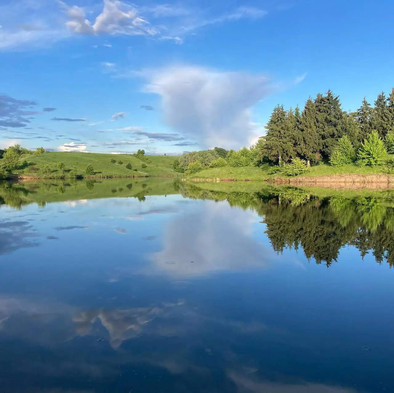 photo 5402229656574358532 y