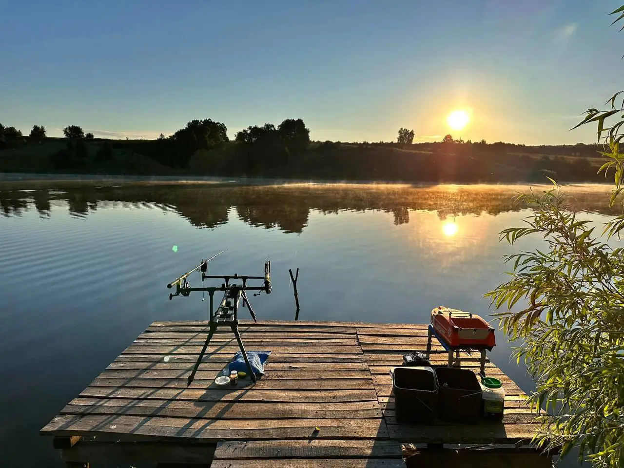 photo 5402229656574358569 y