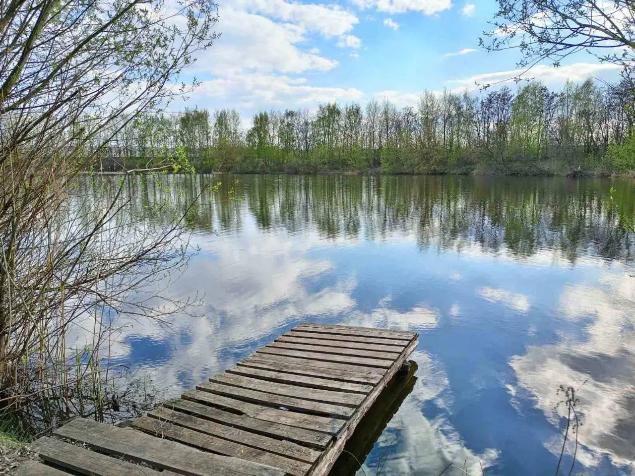 photo 5402229656574358575 y