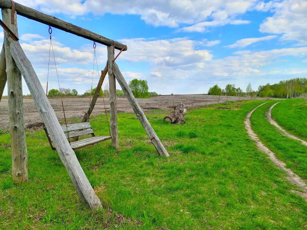 photo 5402229656574358576 y