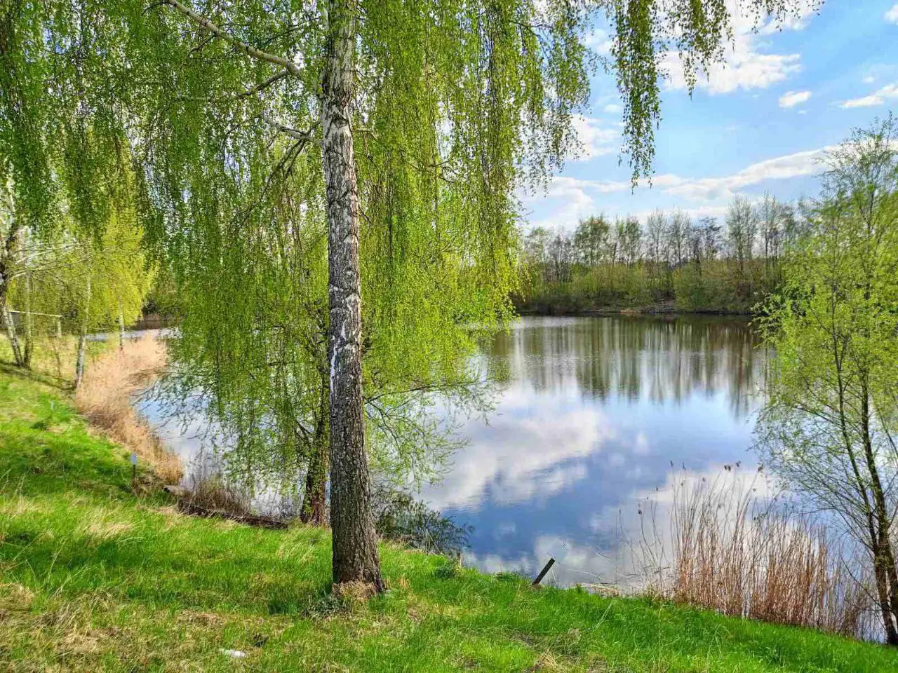 photo 5402229656574358578 y