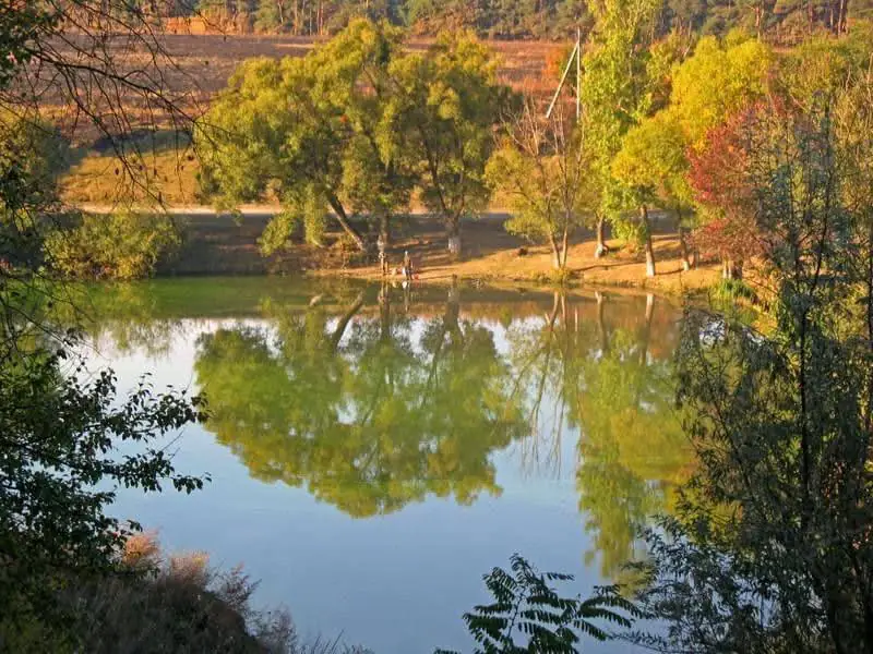 photo 5402229656574358610 x