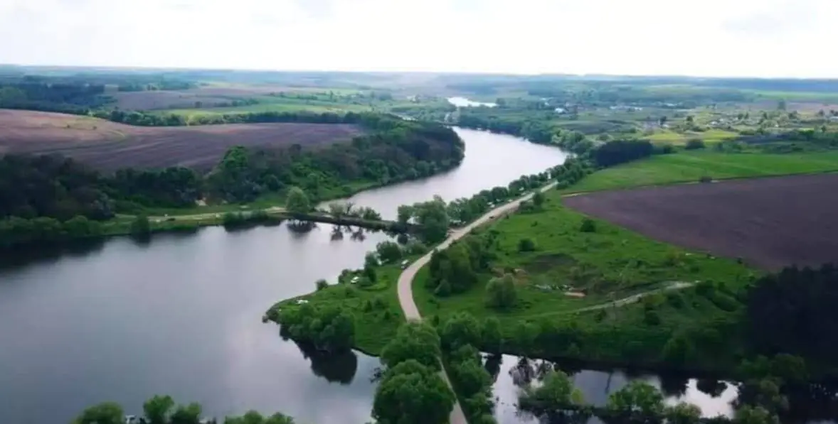 photo 5402229656574358616 y