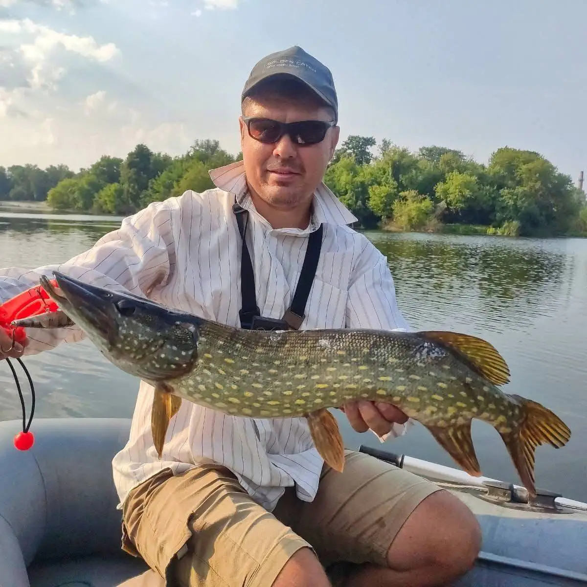 photo 5402229656574358651 y