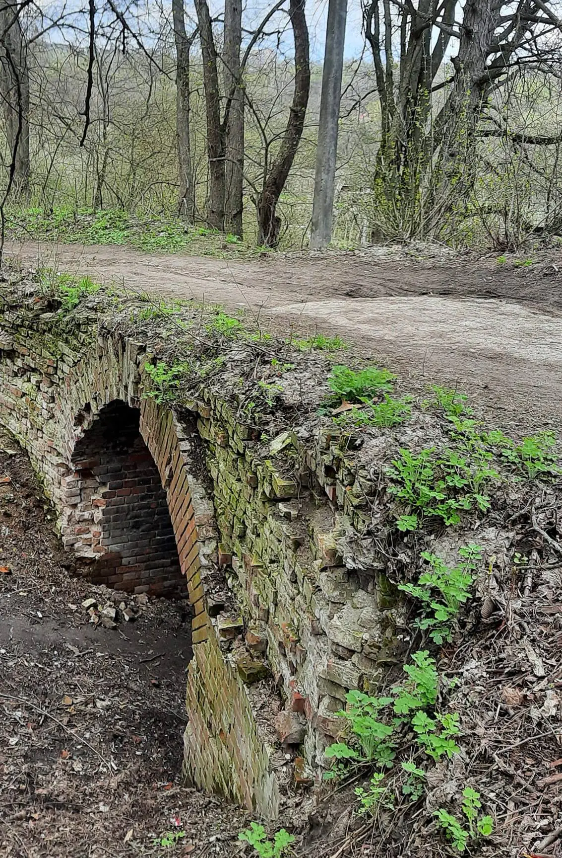 178023229 1678829868985646 8313465289125227406 n 1.jpg 178023229 1678829868985646 8313465289125227406 n 1.jpg