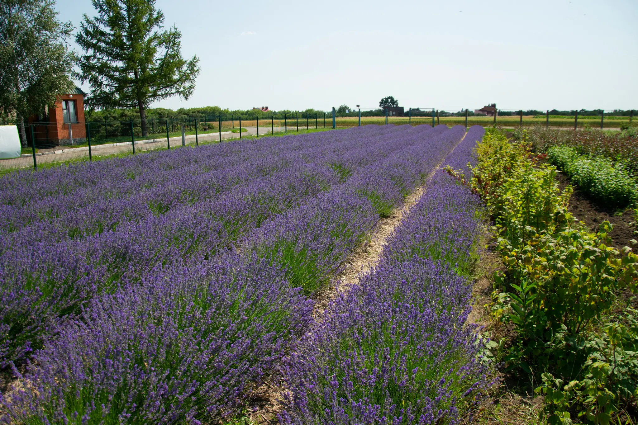 516645813 594687493692258 6646786477574730596 n