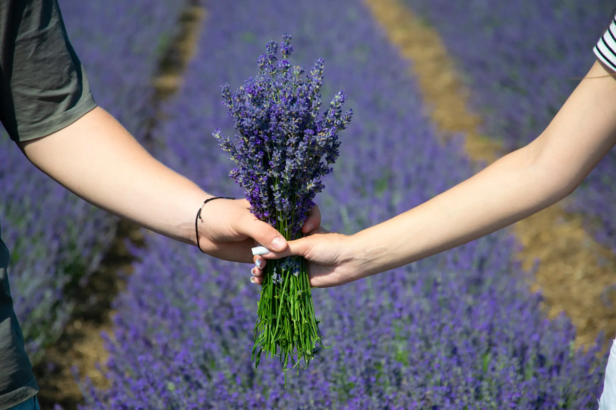 516805335 594685010359173 7863350294514701737 n