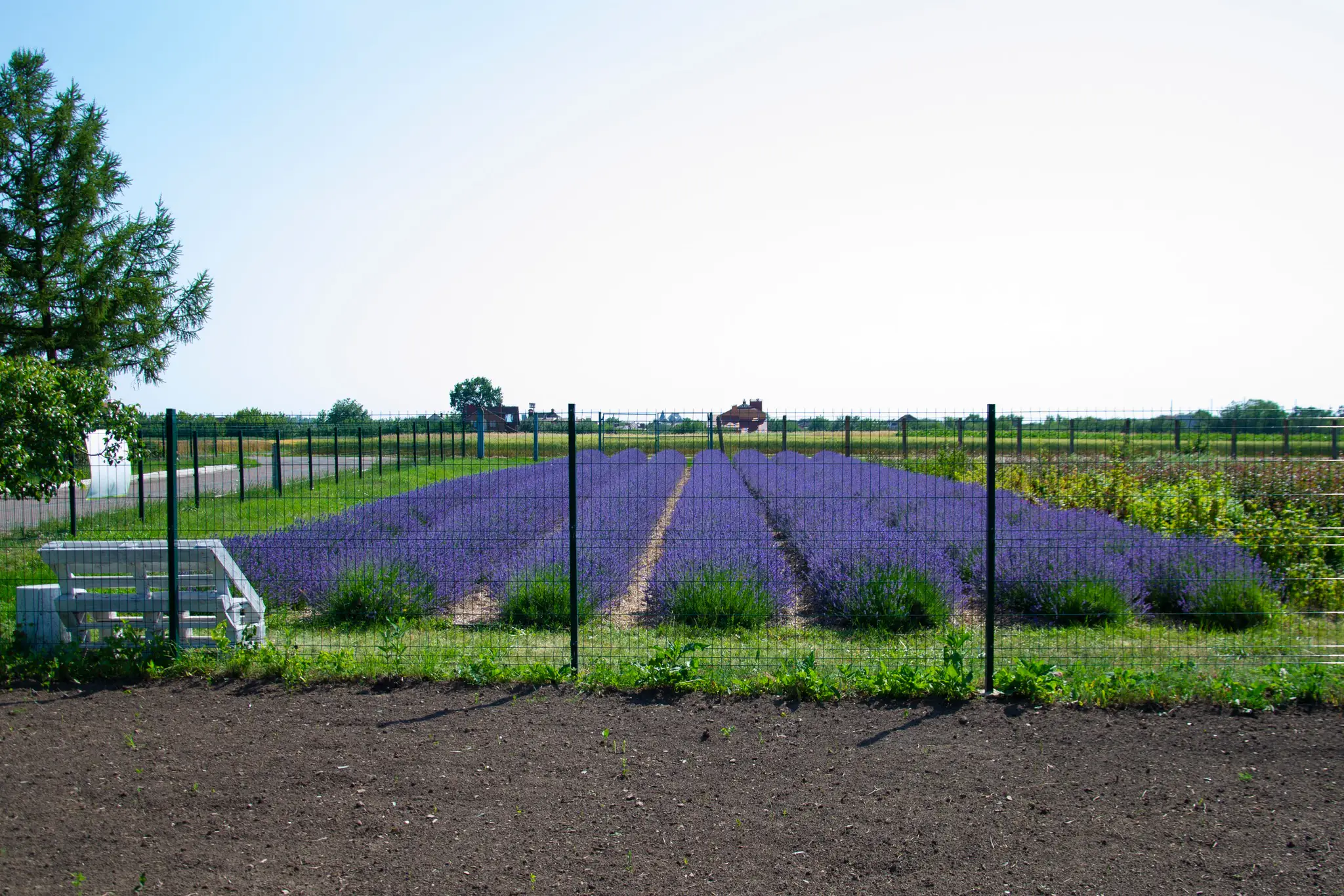 516880965 594685667025774 2523321341509649522 n