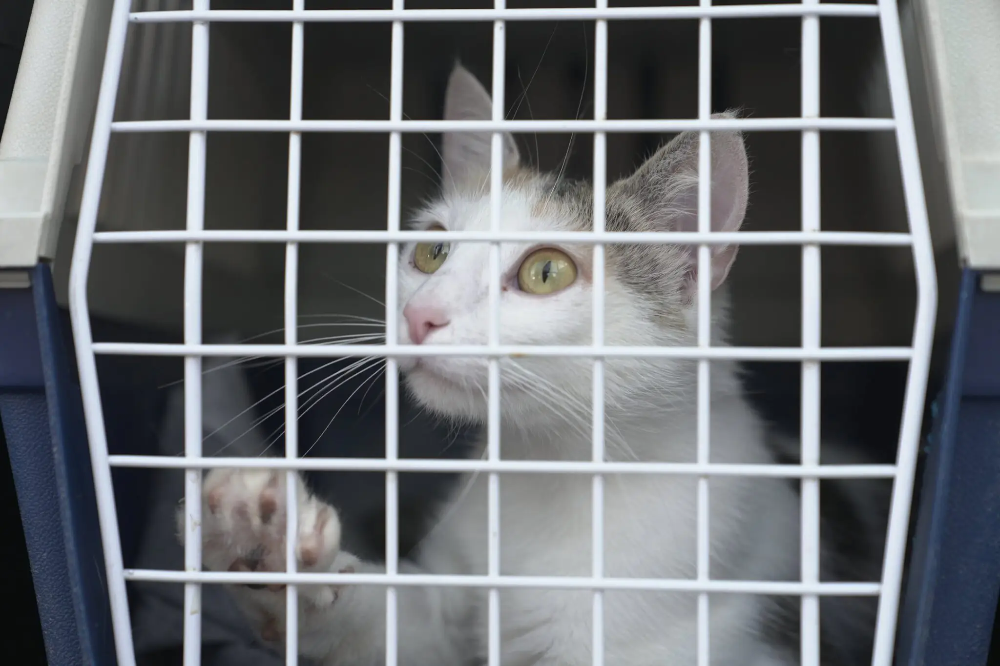 6b1c148100f46b6e 6b1c148100f46b6e