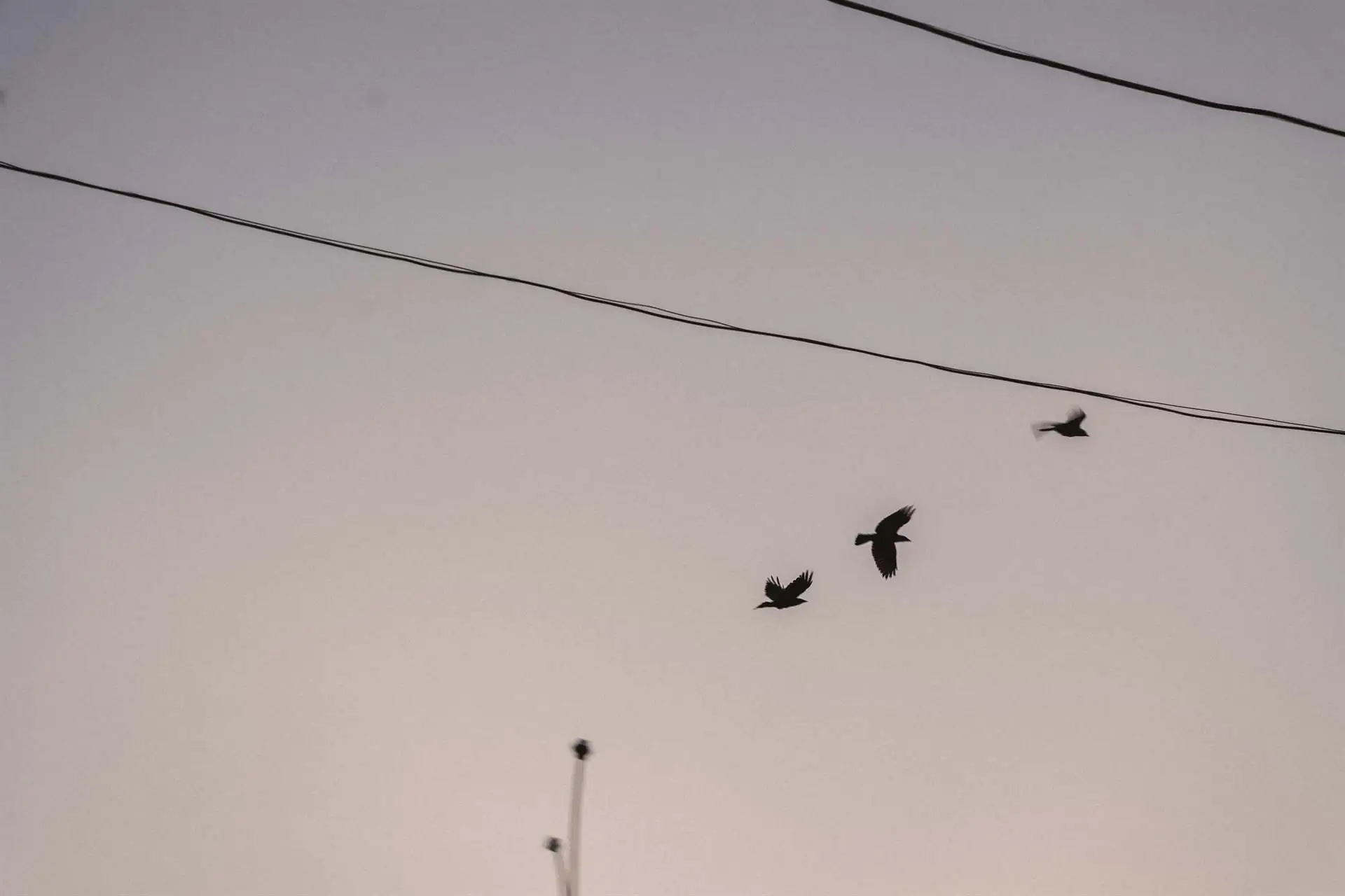 Денис Кривопишин (5) Денис Кривопишин (5)