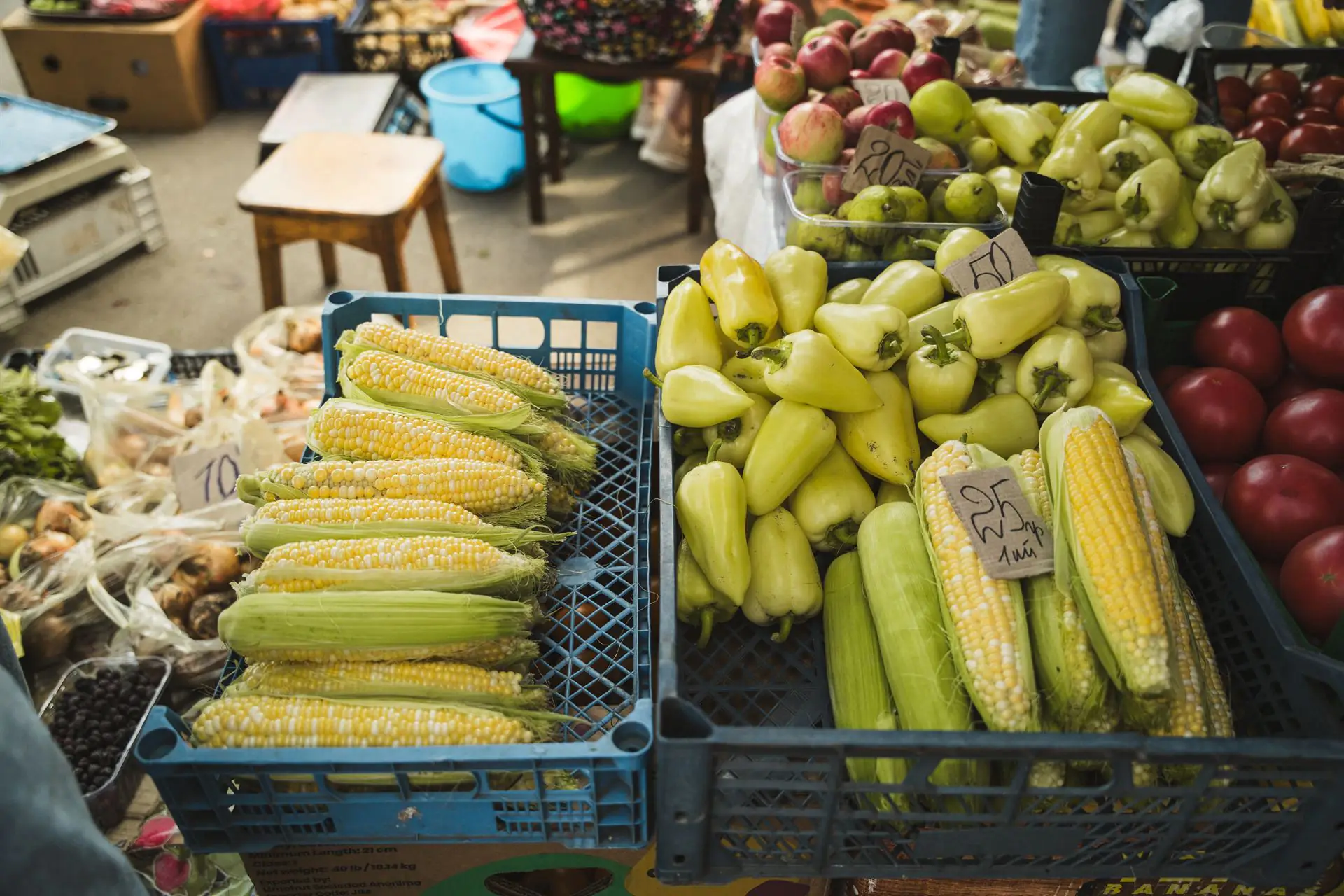 ESH 15 (2) Молода кукурудза по 25 гривень у Сумах