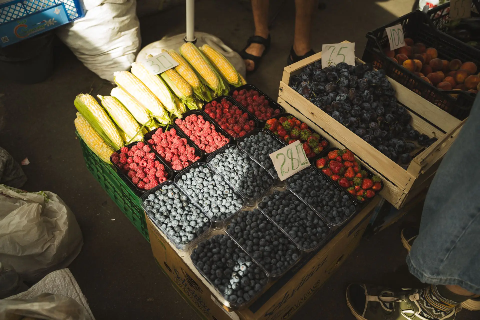 ESH 17 (3) Чоловік із села на Сумщині виростив Лохину