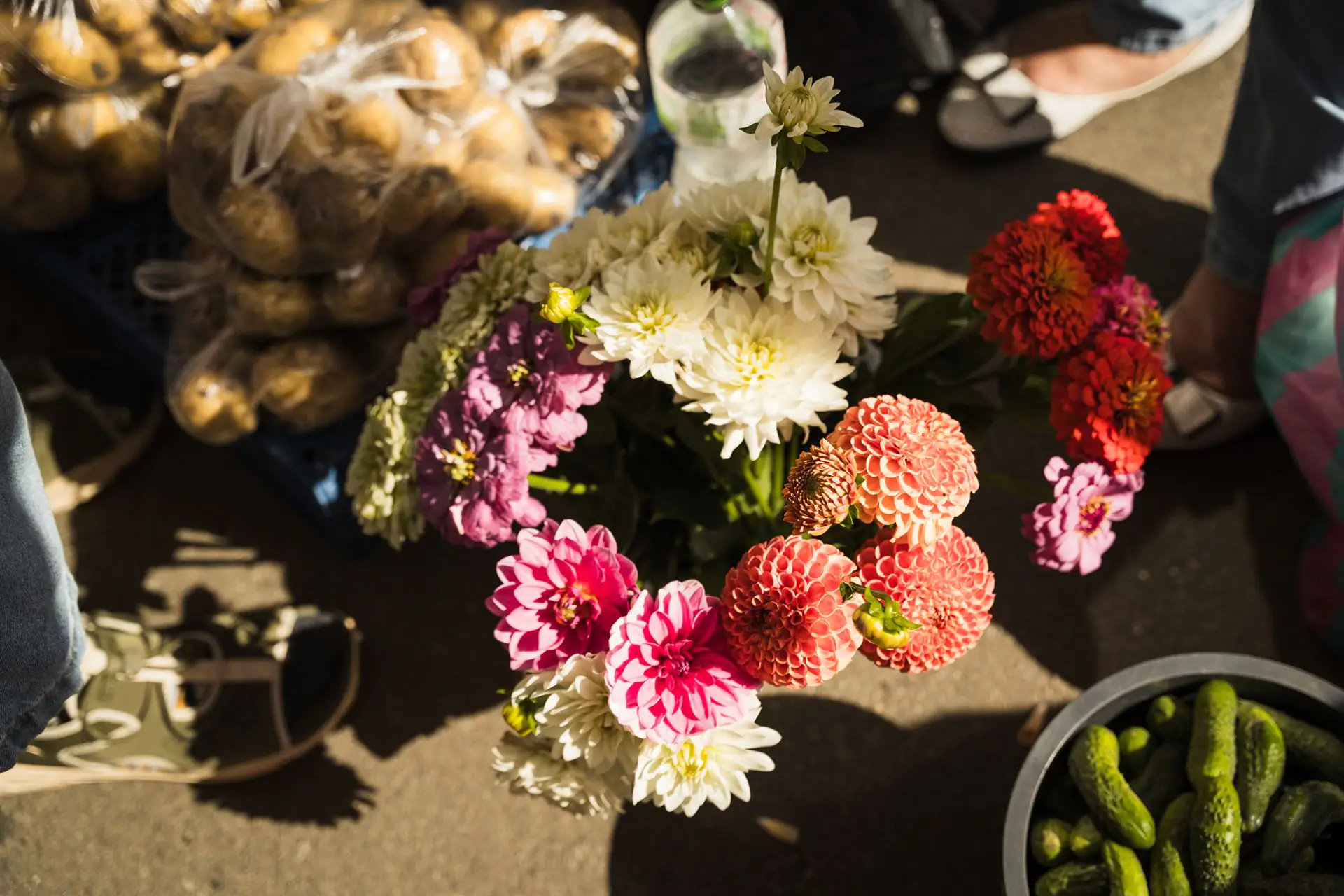 ESH 37 Квіти з домашньої клумби