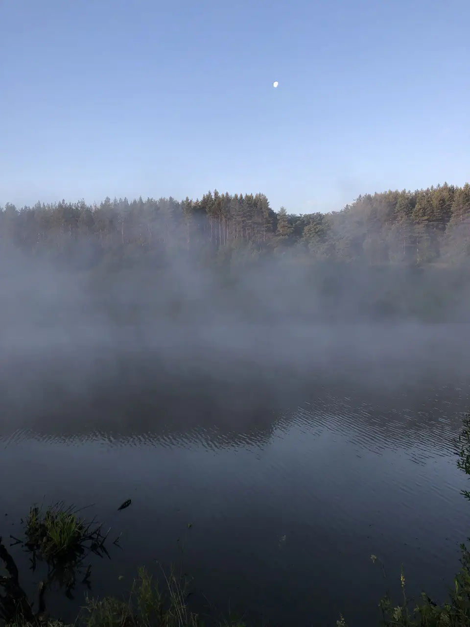 Марго 2 Марго 2