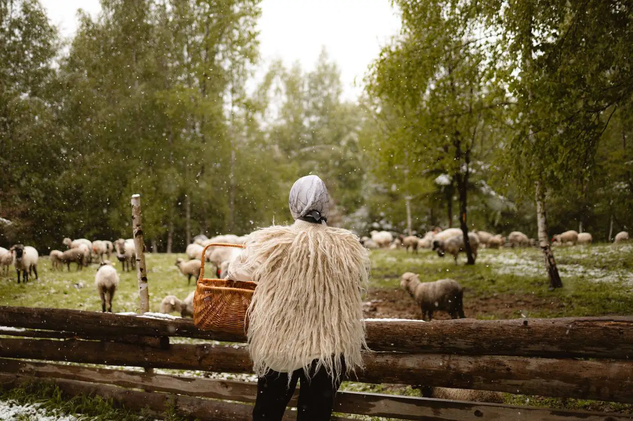 Мрійники (1)