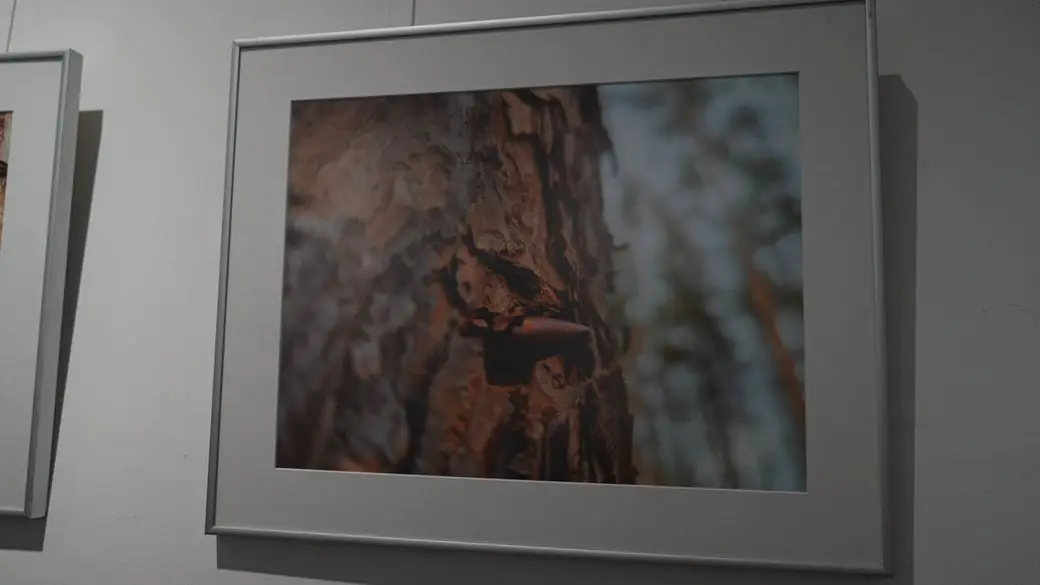 Валентина, фото Суспільне Суми Валентина, фото Суспільне Суми