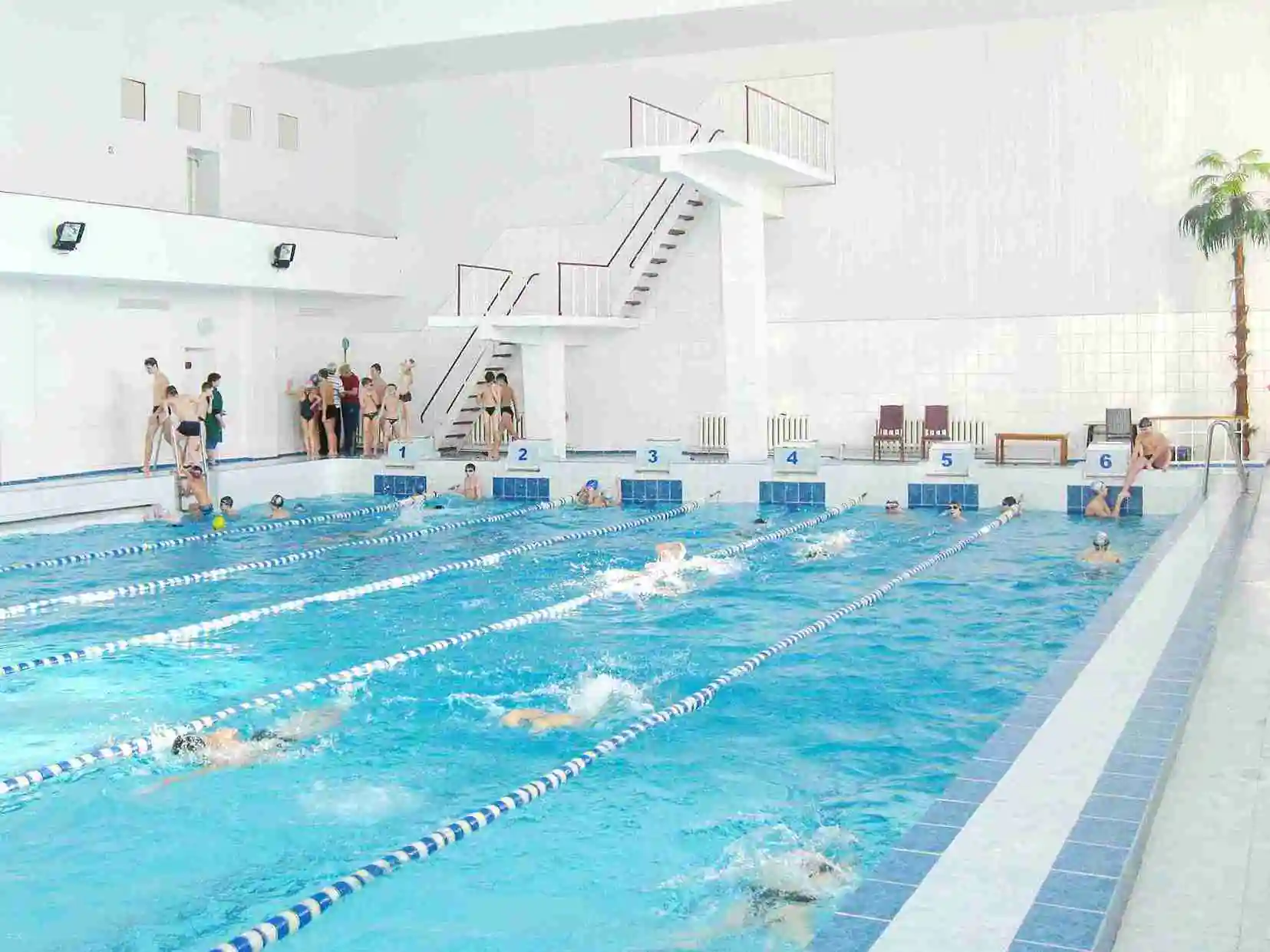 Діти плавають у басейні в Сумах