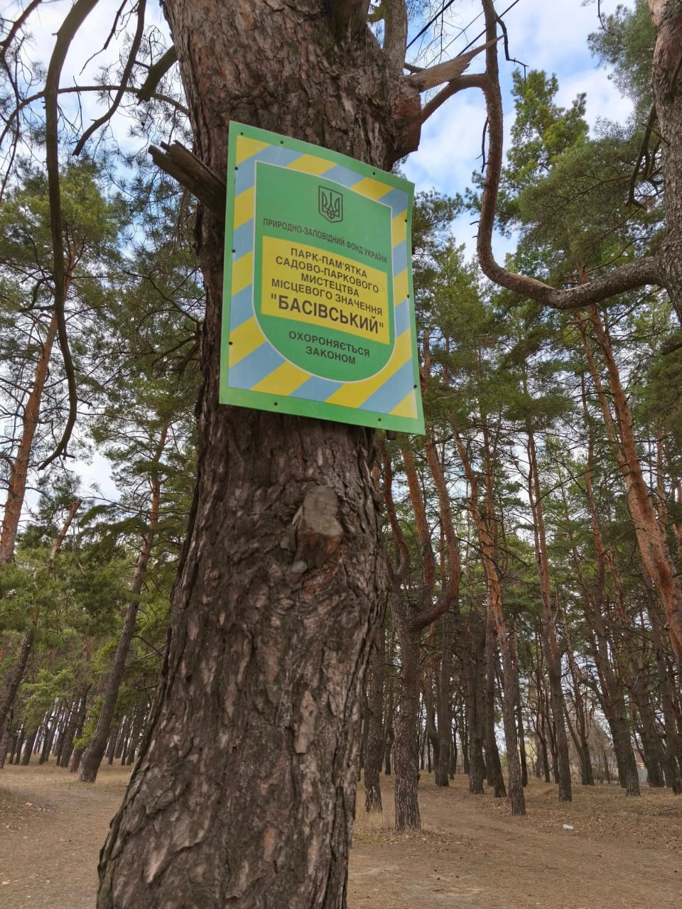 Басівський ліс охороняється законом