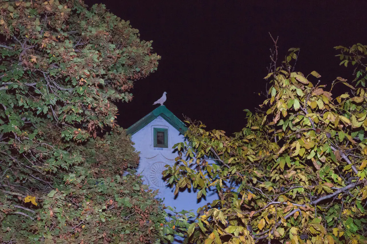 photo 2025 07 23 15 22 15 2 photo 2025 07 23 15 22 15 2