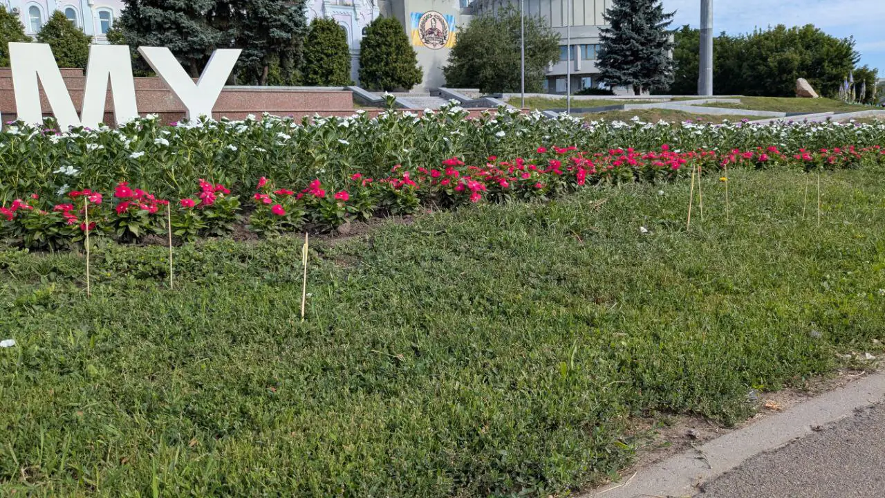 photo 2025 07 25 08 33 03 (2)