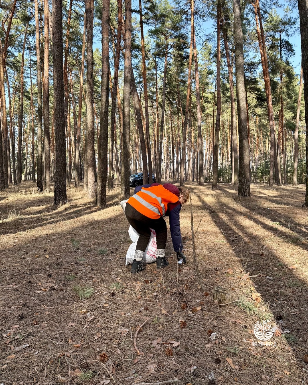 Парк періодично прибирають