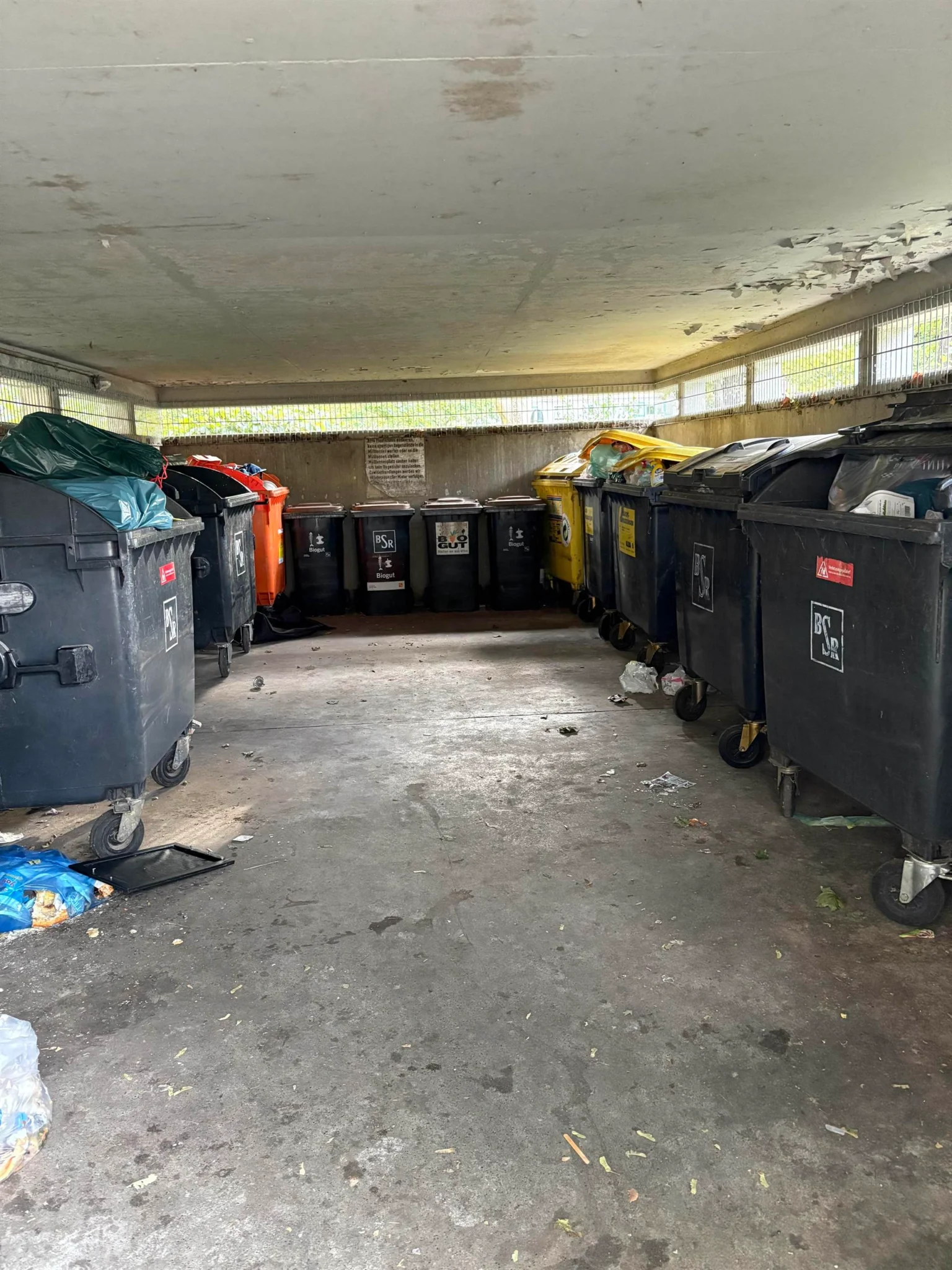 Сум'янка сортує сміття в Німеччині