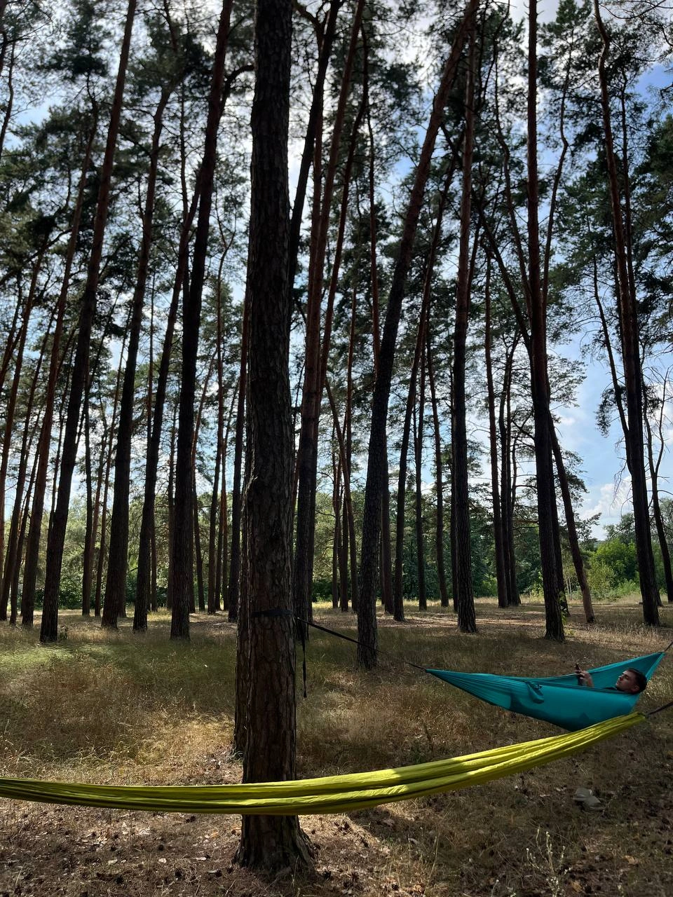 Гамаки в Басівському парку