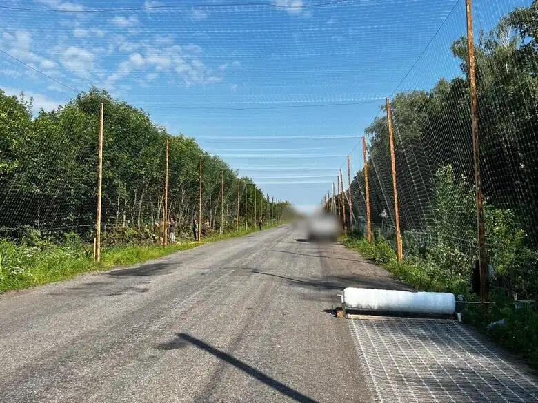 Антидронові сітки на дорозі в Сумській області