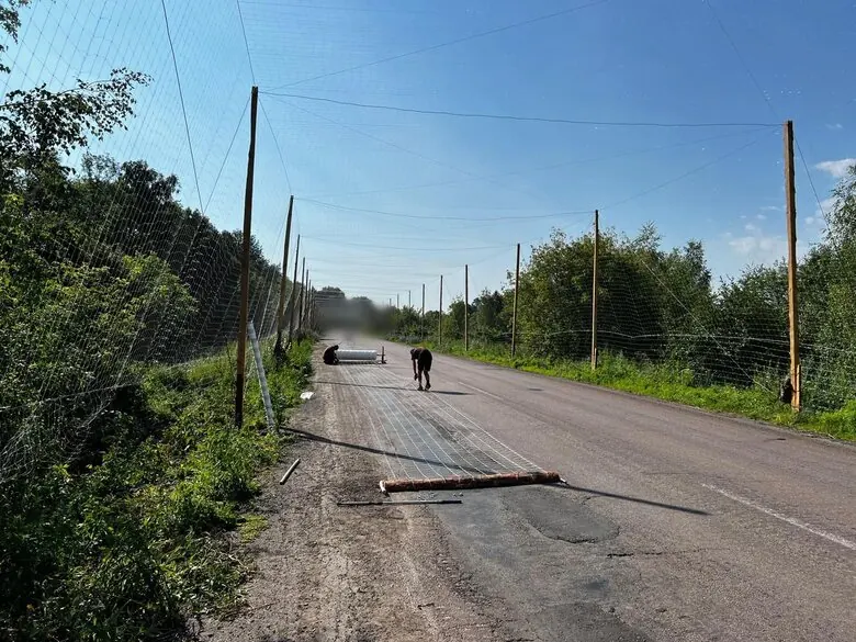 Будівництво антидронових тулелів на Сумщині