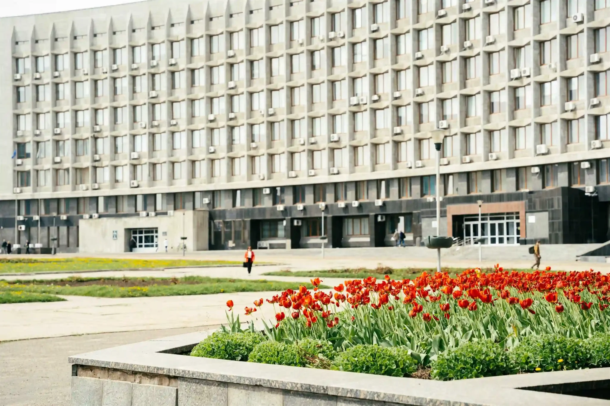 квіти поблизу будівлю ова