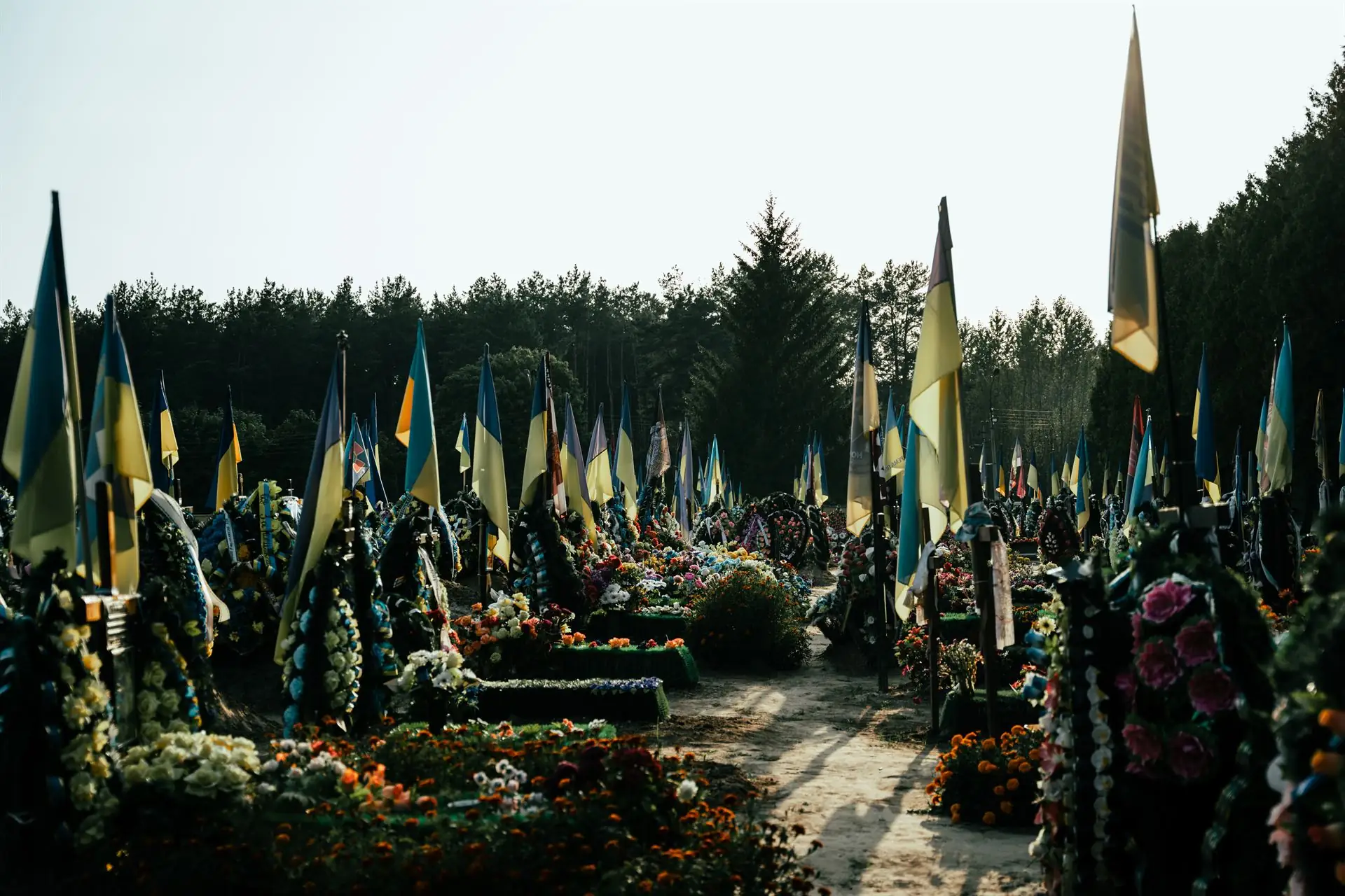 Будівництво на Баранівському кладовищі в Сумах