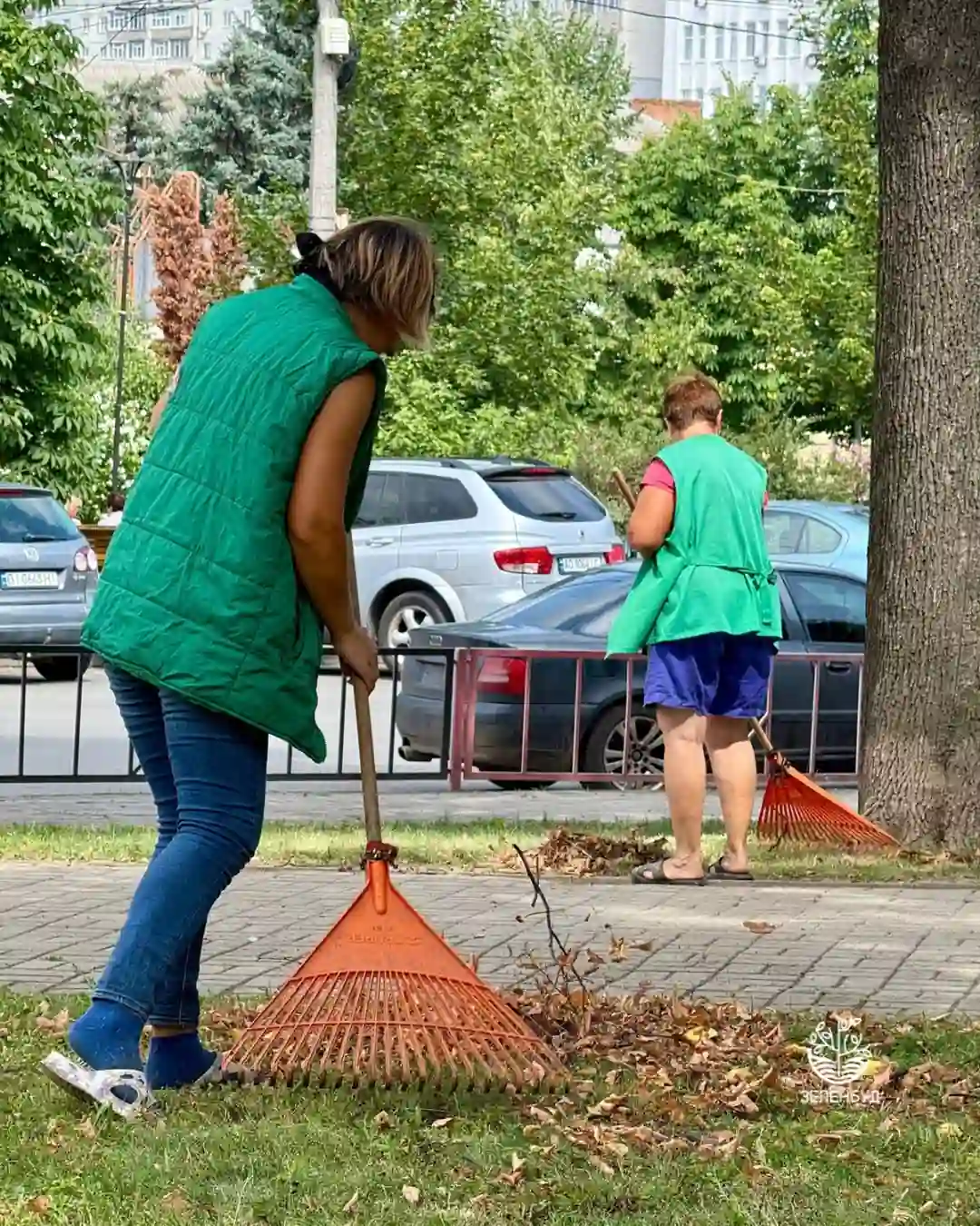 komunal nyky zagribayut lystya v sumakh Комунальники загрібають сухе листя в Сумах