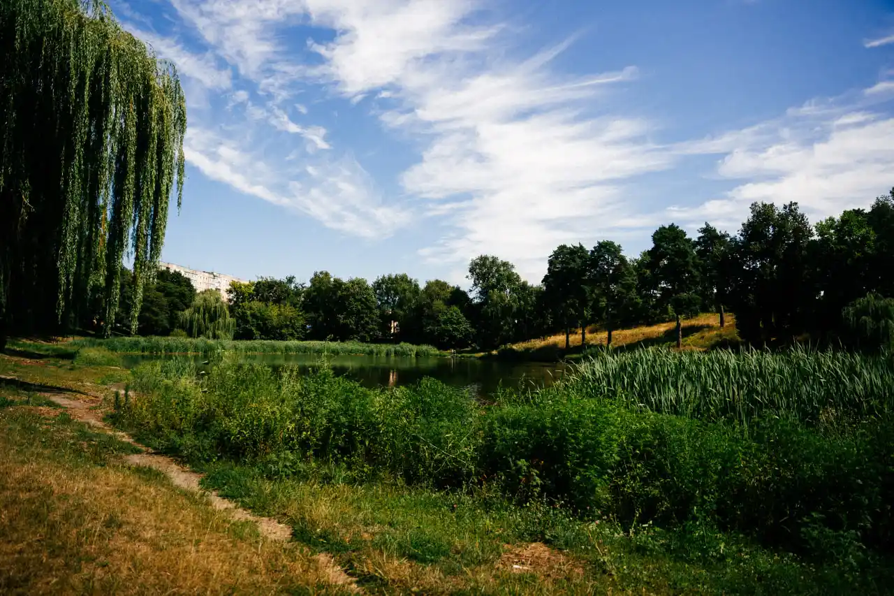 Природа влітку на сумському озері