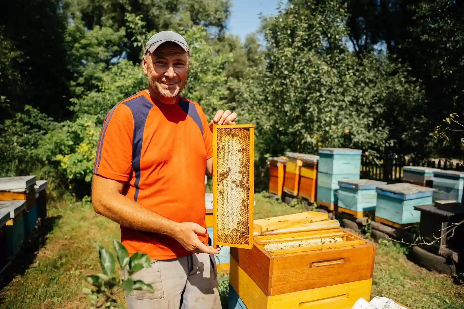 Пасічник з медом біля міста Суми