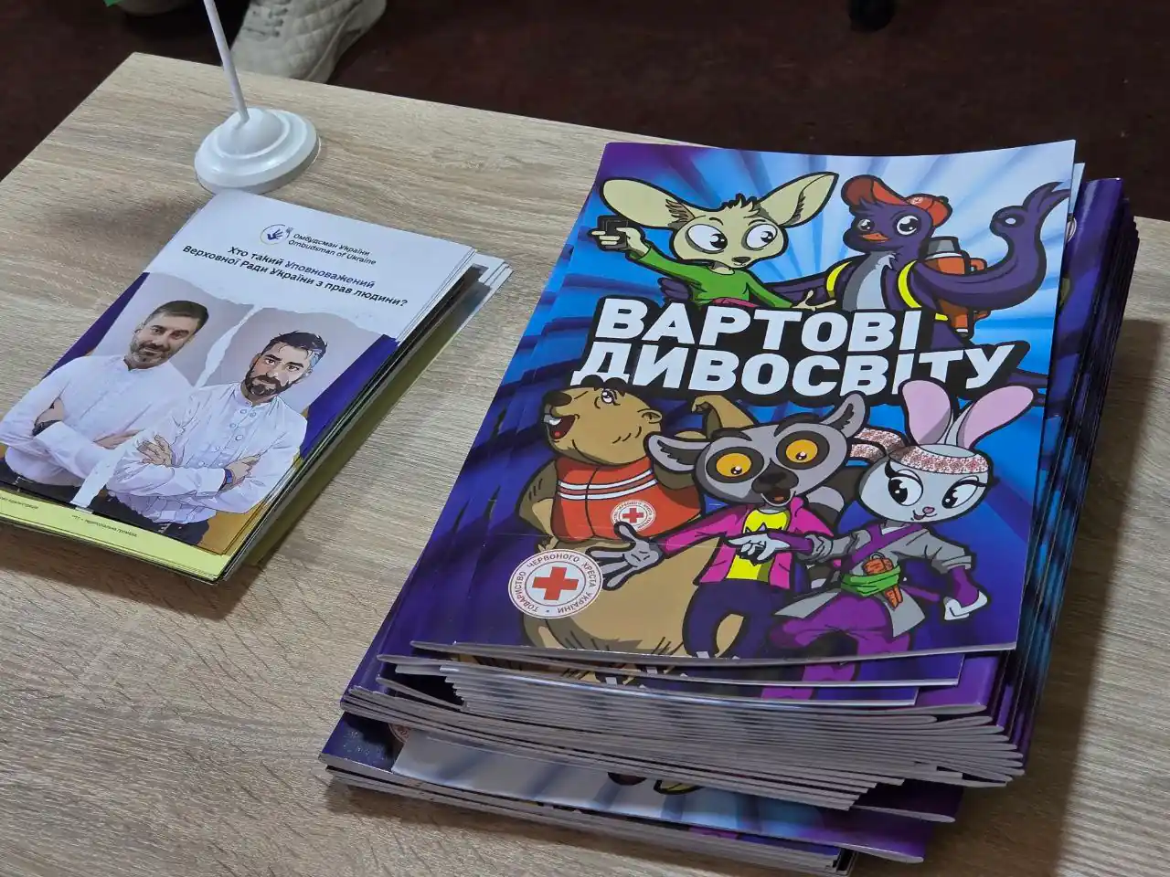 inventar u roms komu osvitn omu tsentri v sumakh Книжки в Ромському освітньому центрі в Сумах