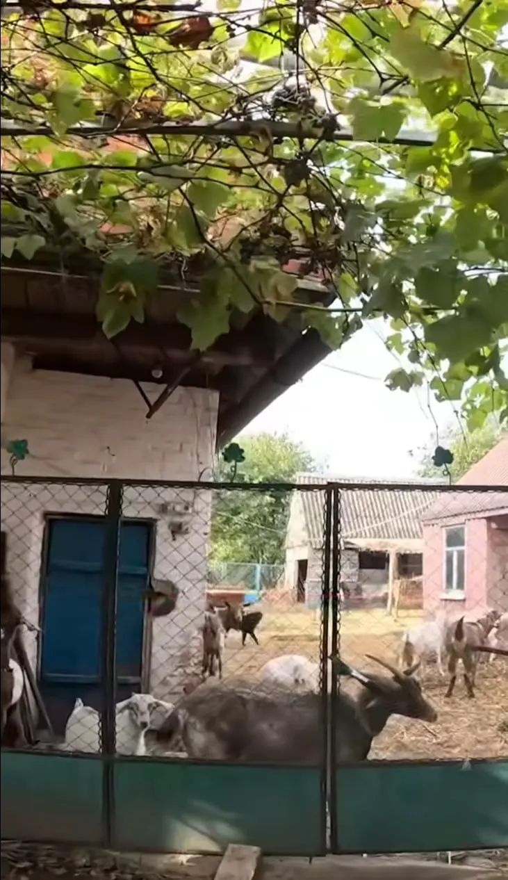 Евакуація з села Пушкарівка 