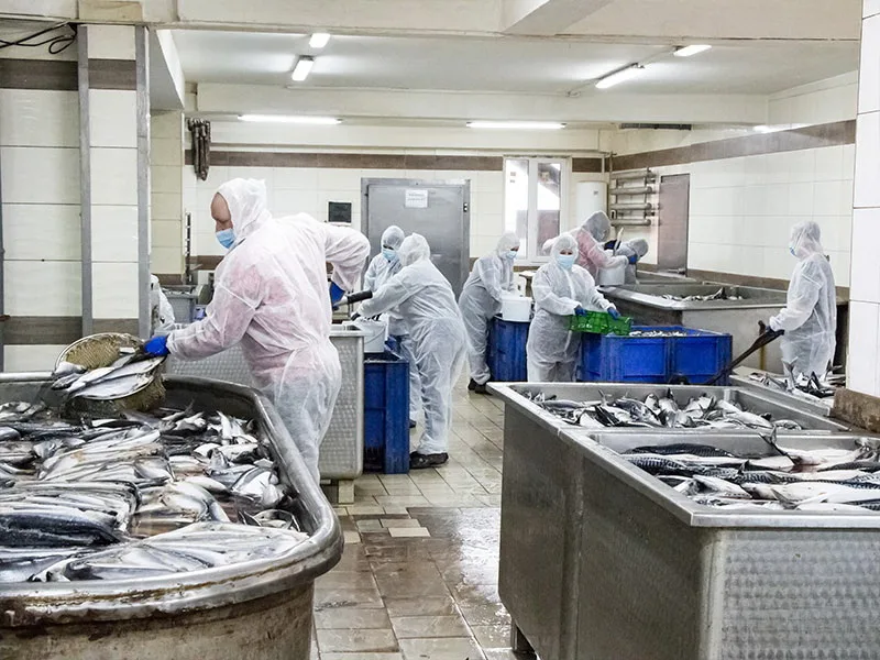 kryza pratsivnykiv biznesu 2 Працівники підприємства Fish King