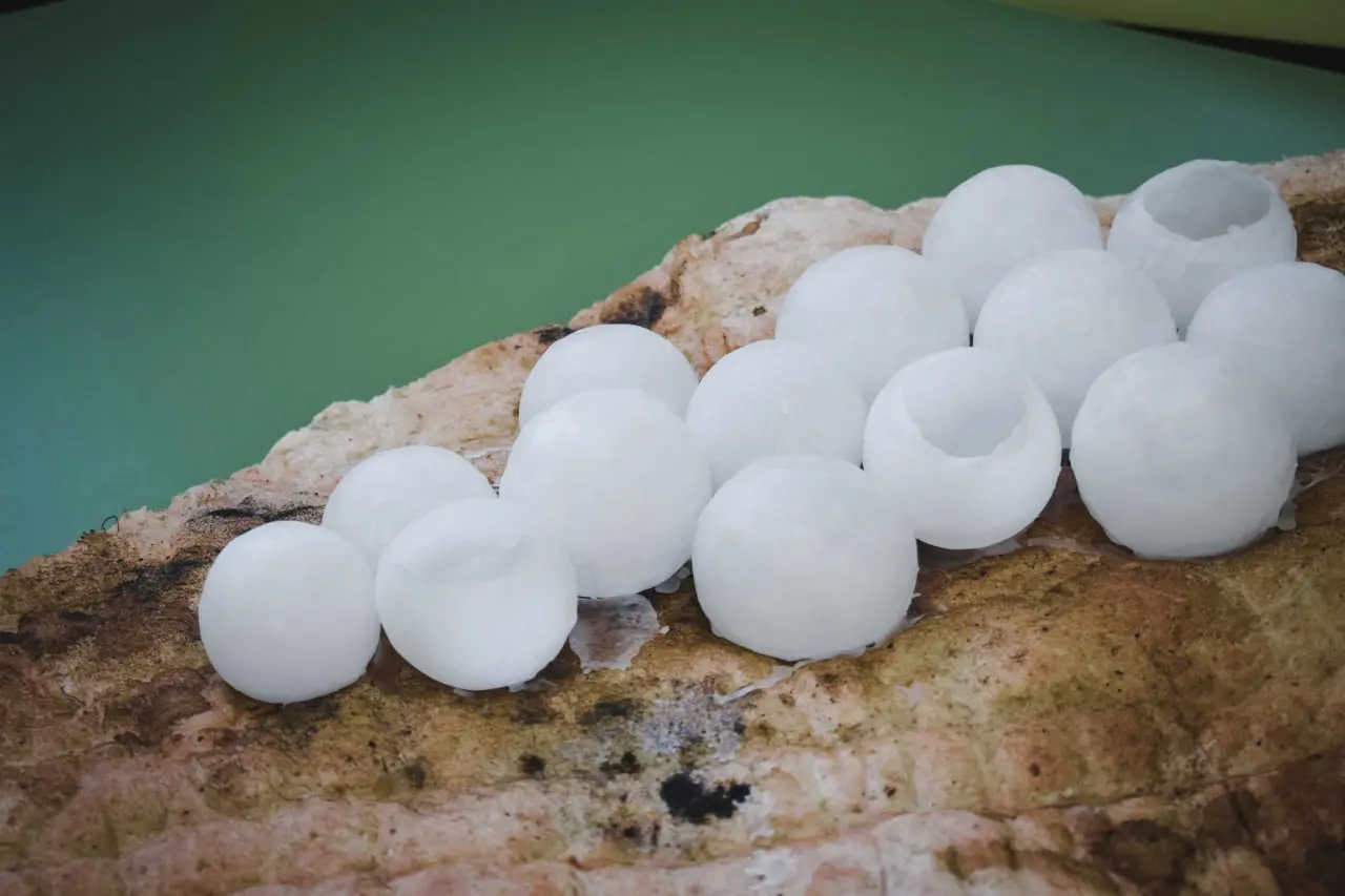 landart sumy landart sumy