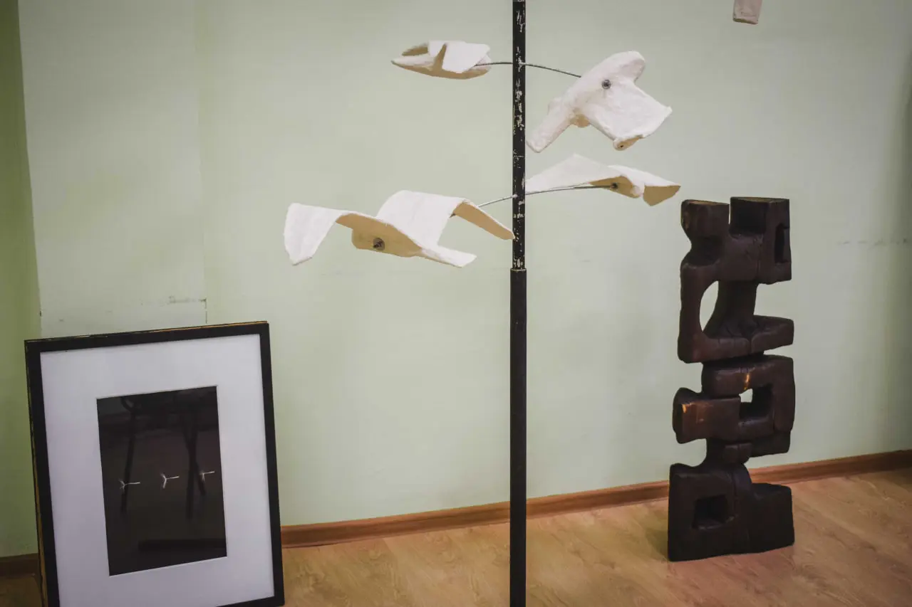 landart vystavka snau роботи на лендарт виставці у СНАУ