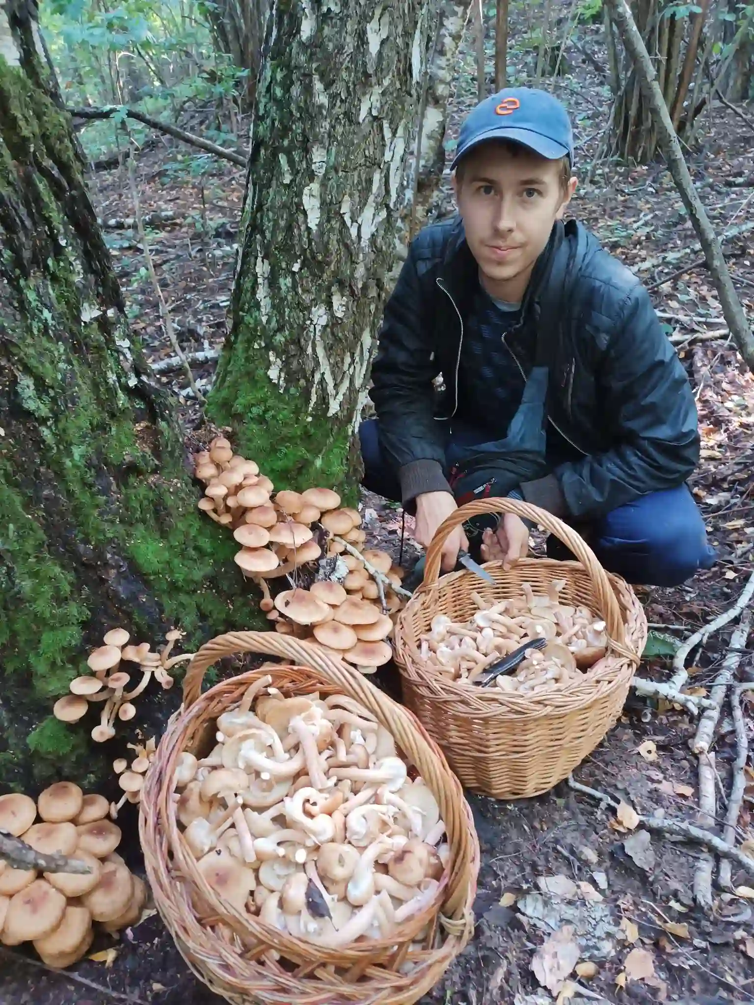 openky sumska oblast openky sumska oblast