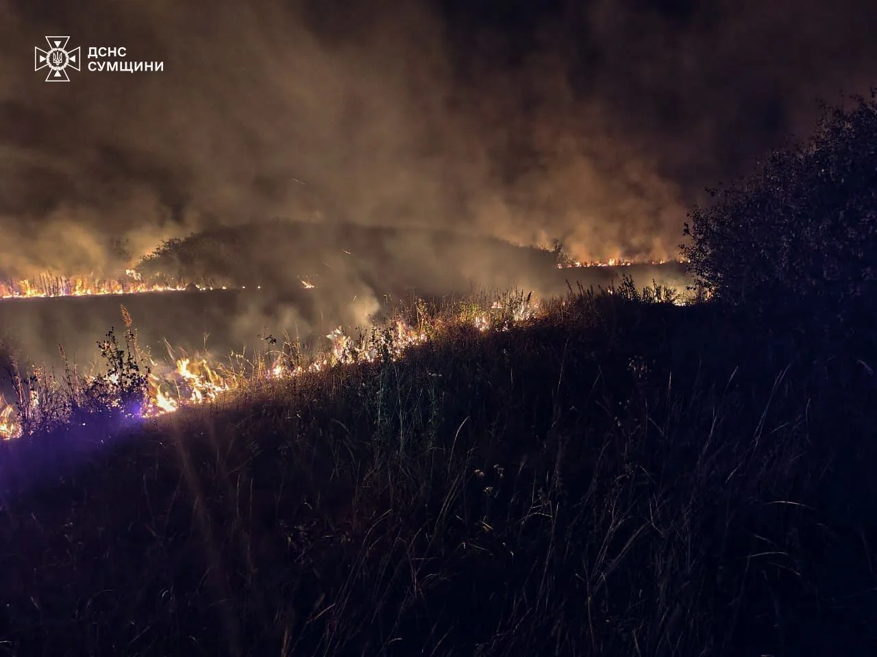 Пожежа в заповіднику на Сумщині